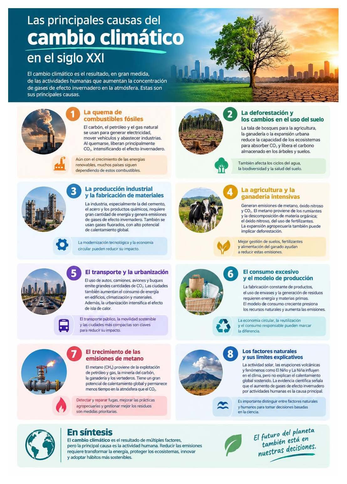 Las principales causas del cambio climático en el siglo XXI